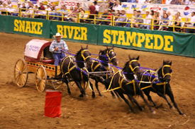 Snake River Stampede