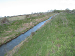 Cherry Springs