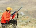 hunting hunting